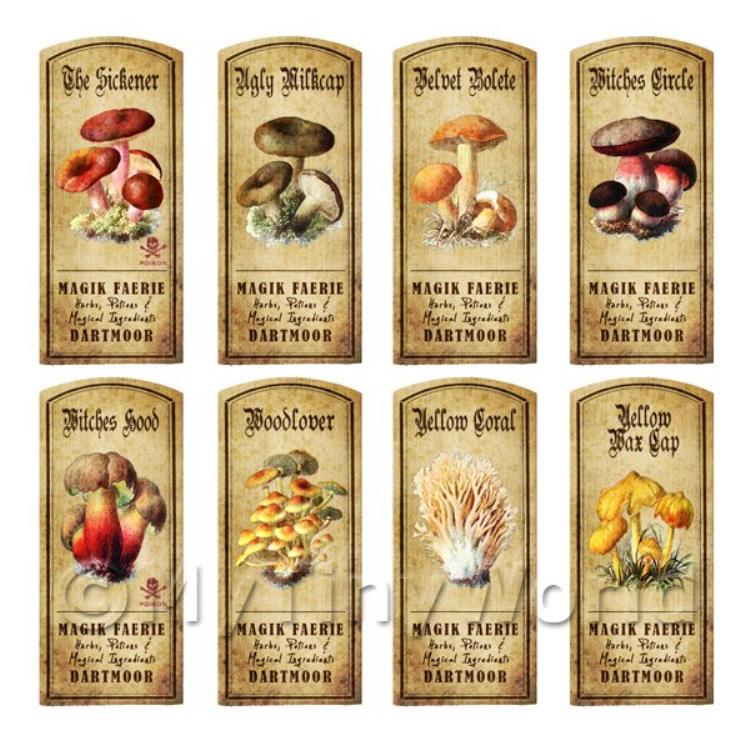 Dolls House Apothecary 8 Fungus / Mushroom Colour Labels Set 7