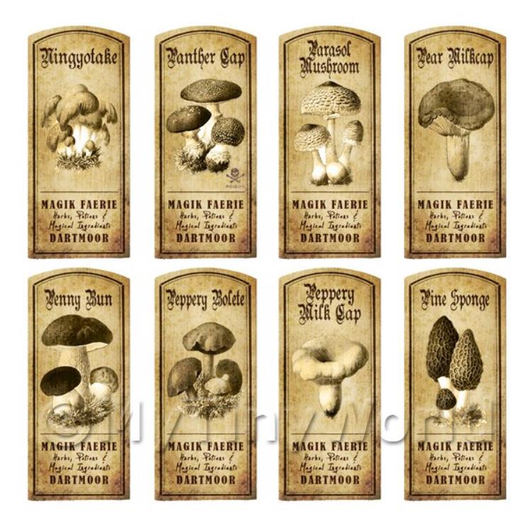 Dolls House Miniature Apothecary 8 Fungus / Mushroom Labels Set 3