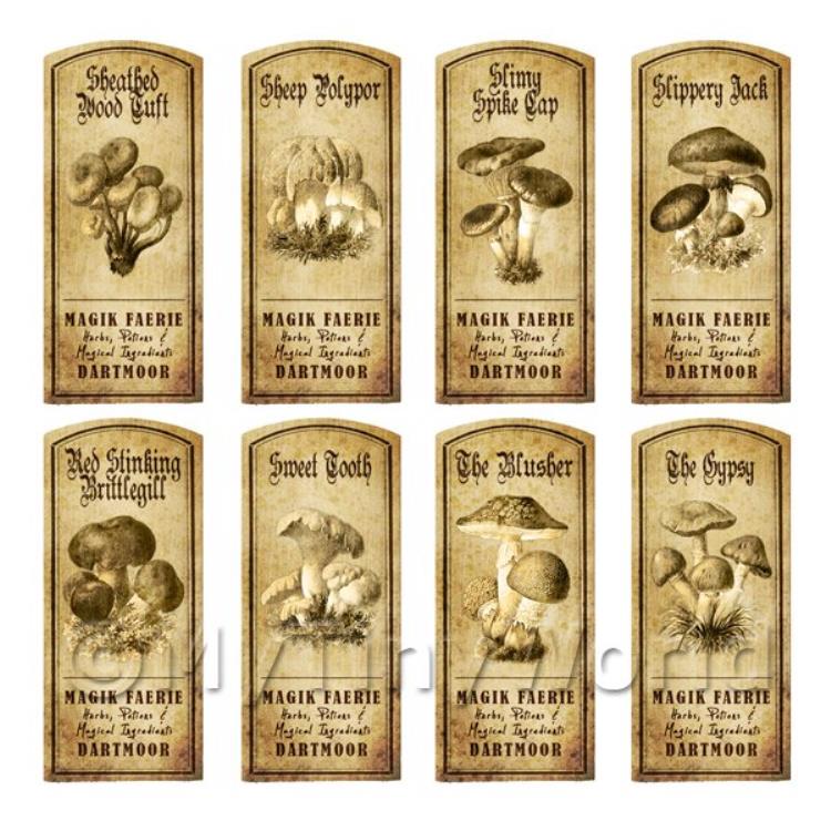 Dolls House Miniature Apothecary 8 Fungus / Mushroom Labels Set 6