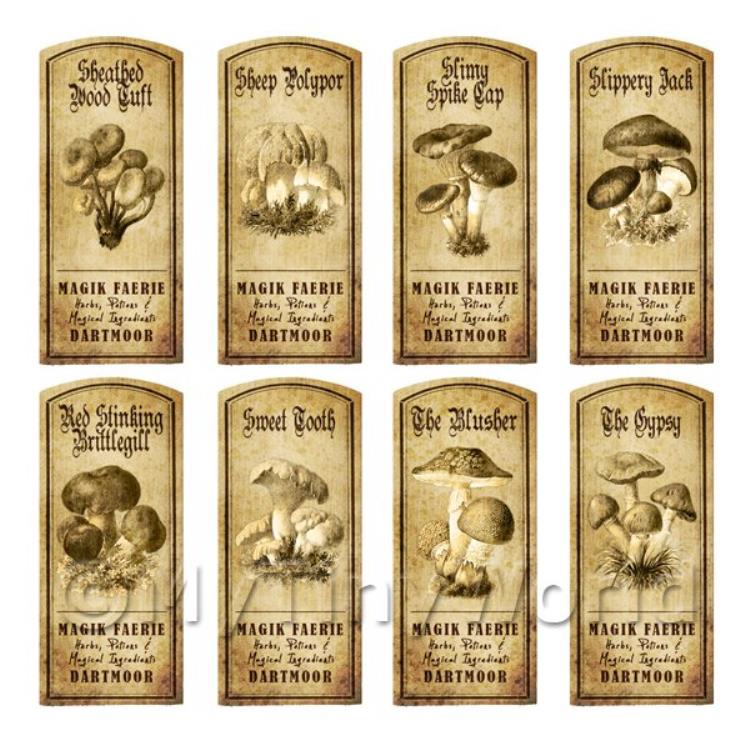 Dolls House Miniature Apothecary 8 Fungus / Mushroom Labels Set 6