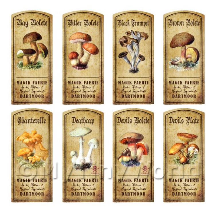 Dolls House Apothecary 8 Fungus / Mushroom Colour Labels Set 1