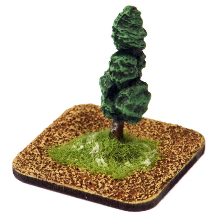 Scenery - Tree