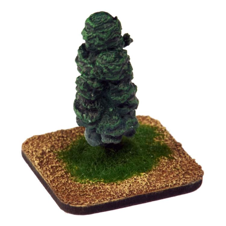 Scenery - Tree