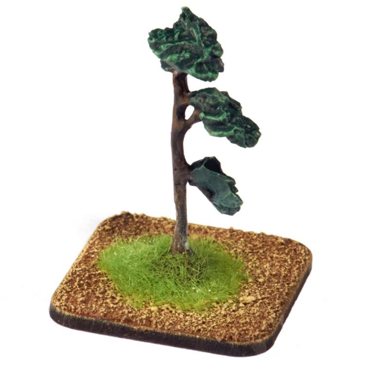 Scenery - Tree