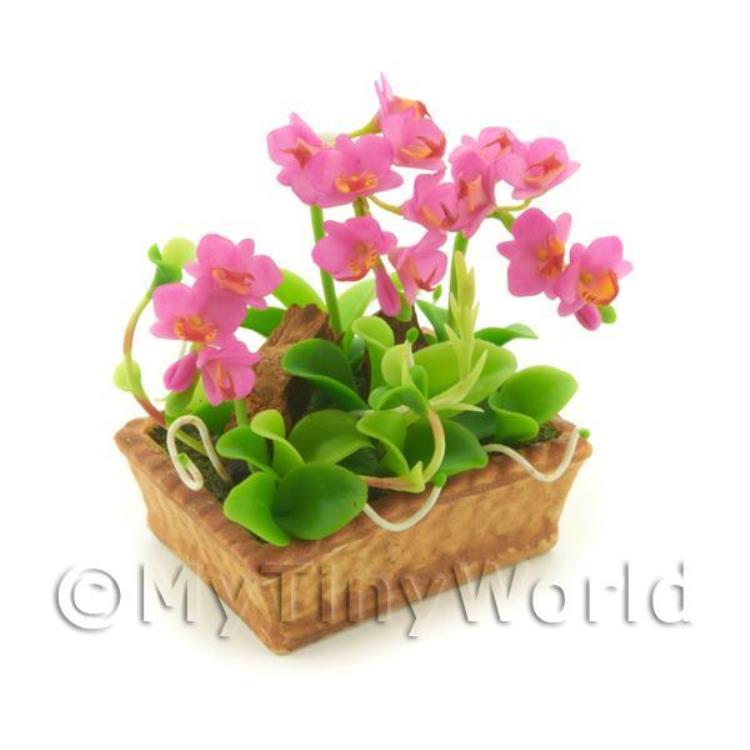 Dolls House Miniature Light Purple Cattleya Orchid Display