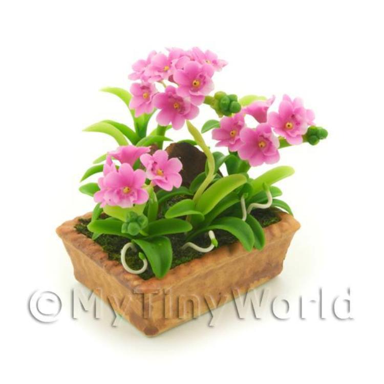Dolls House Miniature Pale Purple Cattleya Orchid Display
