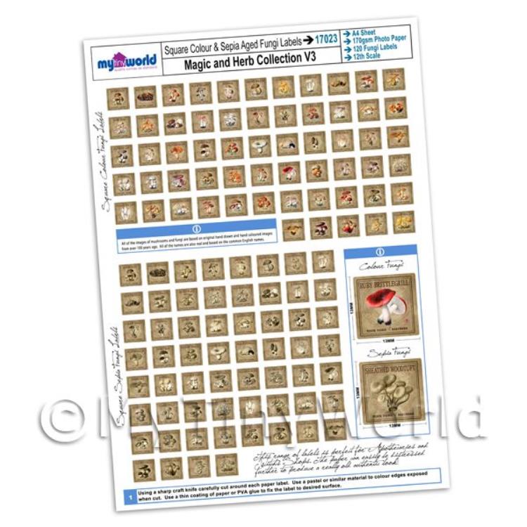 Dolls House Full Set of 120 Square Fungi / Mushroom Labels A4 Value Sheet