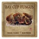 Album Photo bay-cup-fungus.jpg