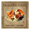 Album Photo orange-peel-fungus.jpg