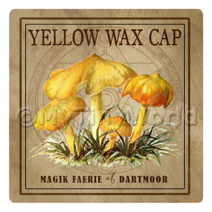 Dolls House Miniature Apothecary Yellow Wax Cap Fungi Colour Box Label