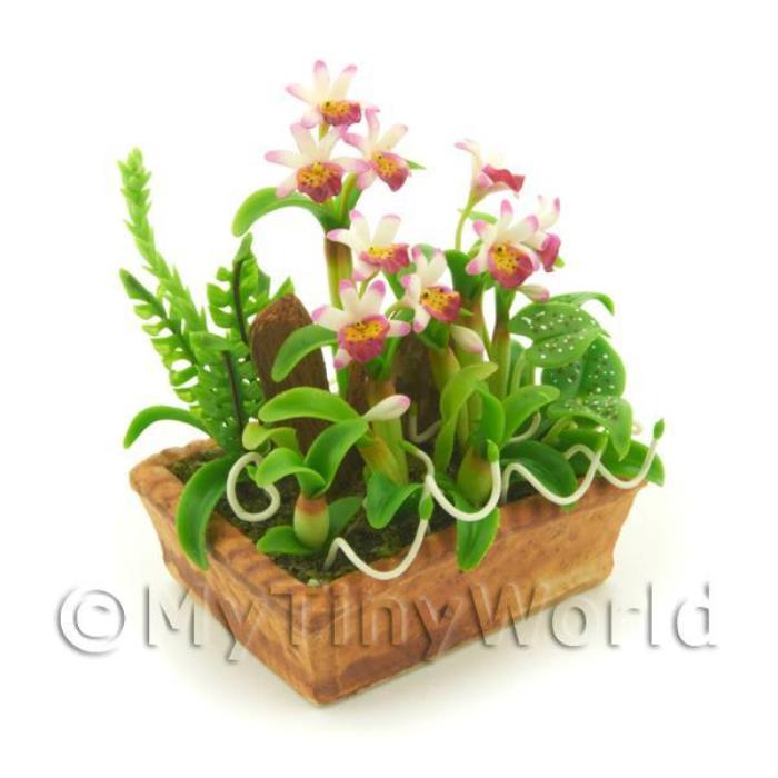 Dolls House Miniature White/Pink/Dark Pink Cattleya Orchid Display
