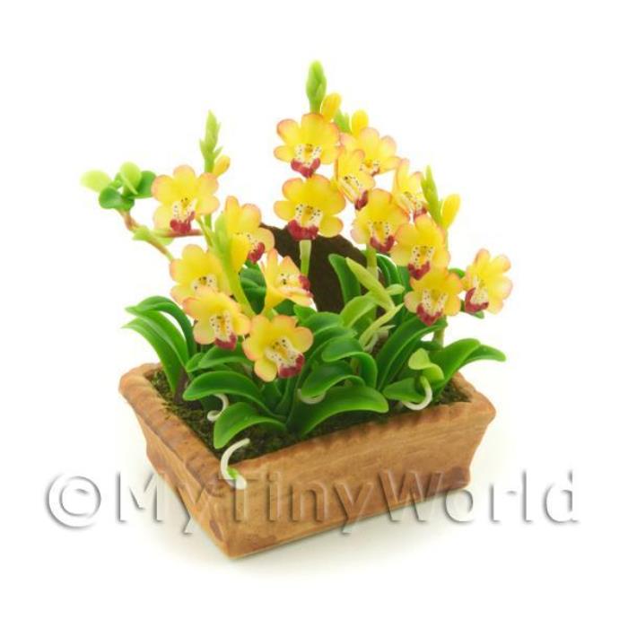 Dolls House Miniature Red / Yellow Cymbidium Orchid Display