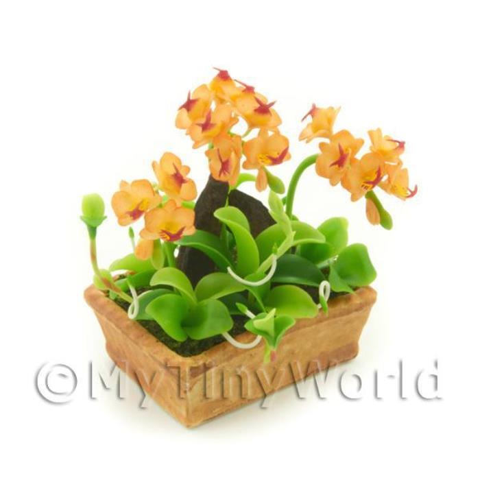 Dolls House Miniature Peach / Red Cattleya Orchid Display