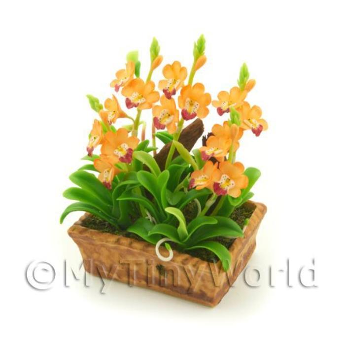 Dolls House Miniature Peach / Yellow Cattleya Orchid Display