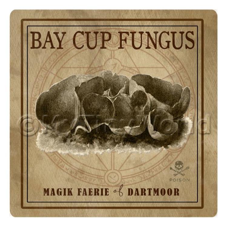 Dolls House Miniature Apothecary Bay Cup Fungus Box Sepia Label