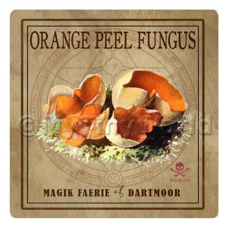 Dolls House Miniature Apothecary Orange Peel Fungi Colour Box Label