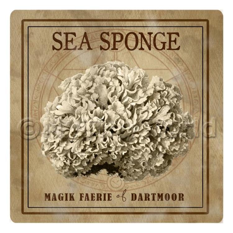 Dolls House Miniature Apothecary Sea Sponge Fungi Sepia Box Label