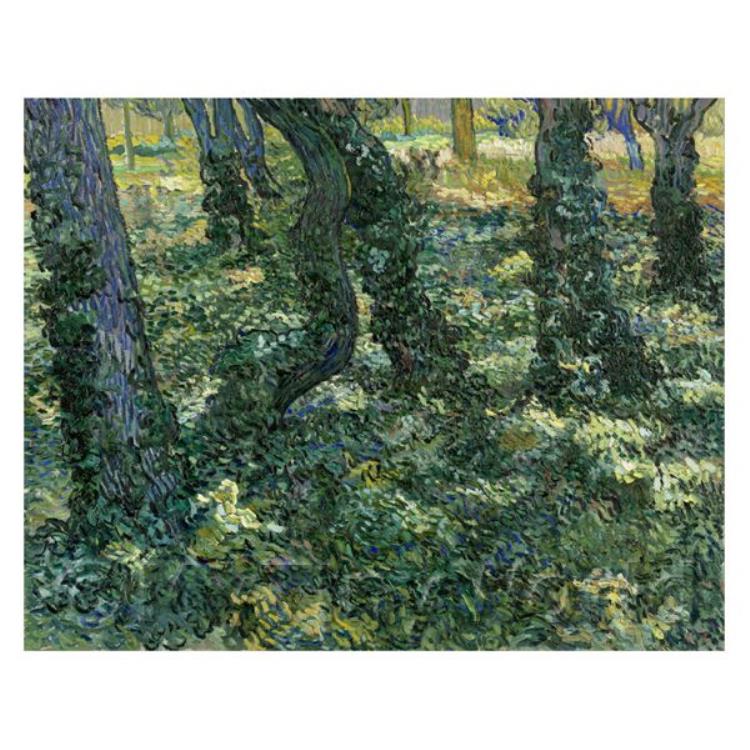 Van Gogh Painting - Undergrowth (Forest)