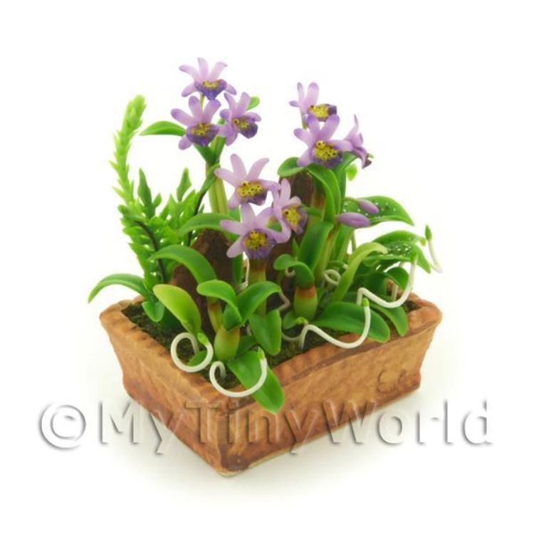 Dolls House Miniature Violet Dendrobium Orchid Display